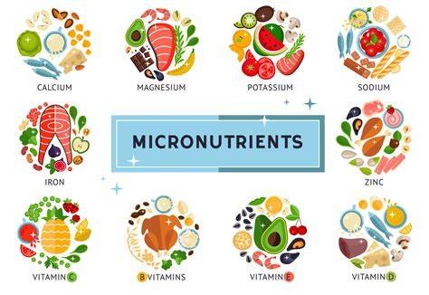 Micronutrient Mixtures